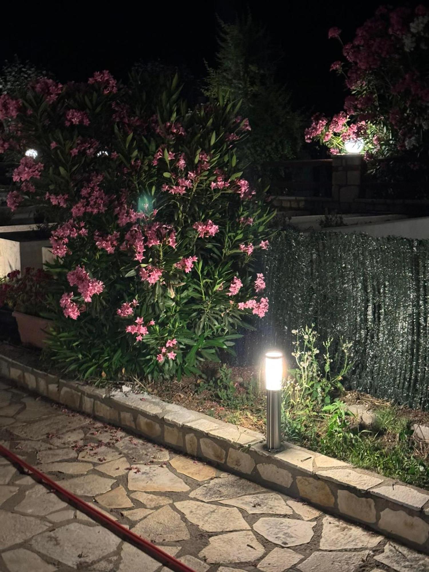 Villas Ormos Palace 奥马斯帕纳吉亚斯 外观 照片